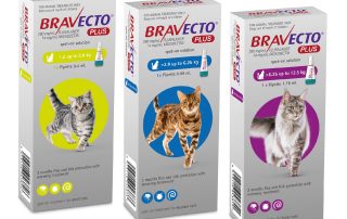 Bravecto Plus for Cats 